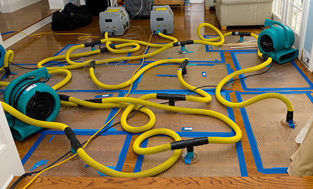 Professional Water Damage Restoration technician working in Union, OH
